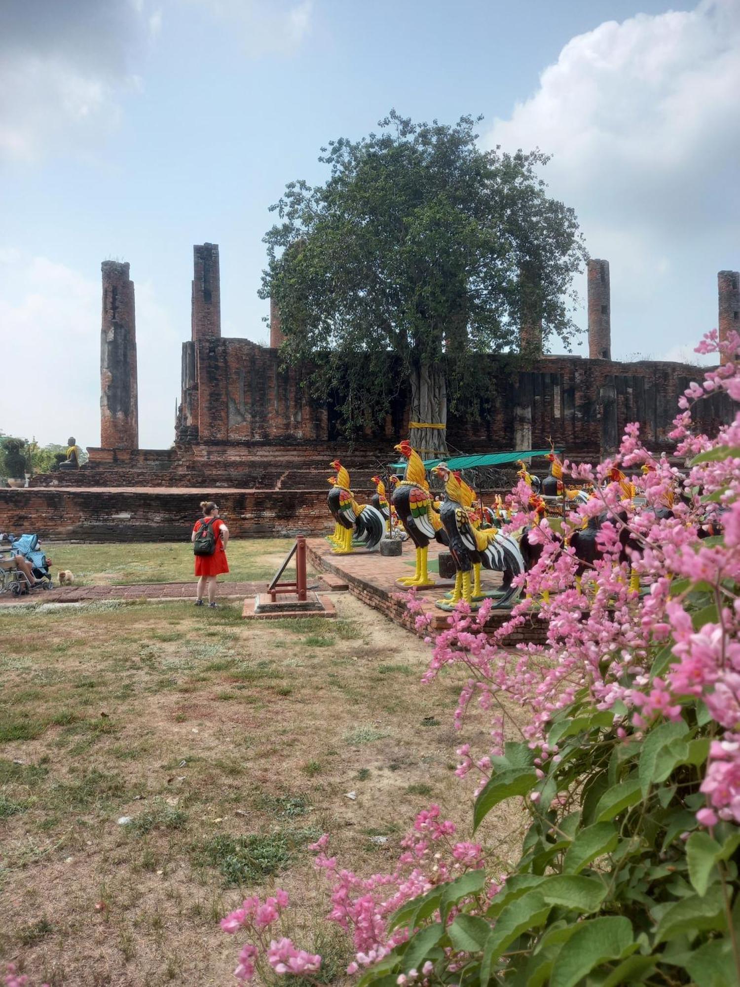 Plus Hostel Ayutthaya Kültér fotó